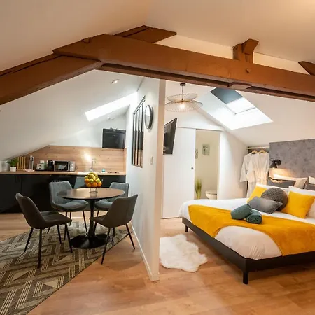 Appart-hotel De Standing Avec Jacuzzi Privatisable En Option * Périgueux