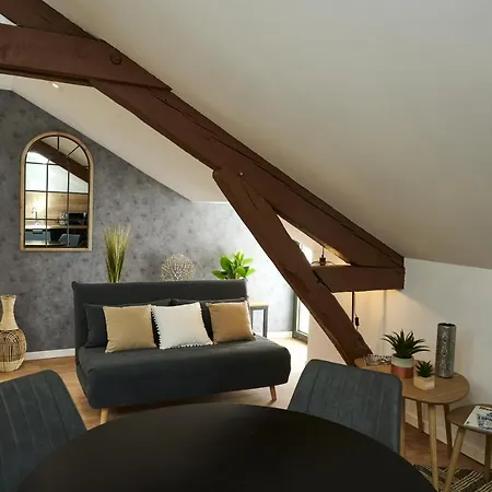 Appart-hotel De Standing Avec Jacuzzi Privatisable En Option