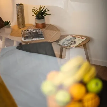 Apartment Appart-hotel De Standing Avec Jacuzzi Privatisable En Option *