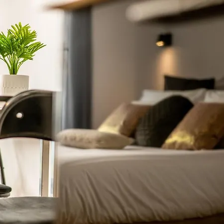 Appart-hotel De Standing Avec Jacuzzi Privatisable En Option * Périgueux