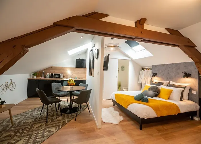 Appart-hôtel De Standing Avec Jacuzzi Privatisable En Option * Périgueux