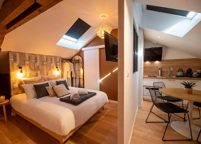 Appart-hôtel De Standing Avec Jacuzzi Privatisable En Option Appartement Périgueux