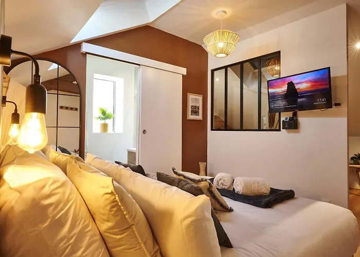 Appart-hôtel De Standing Avec Jacuzzi Privatisable En Option Appartement