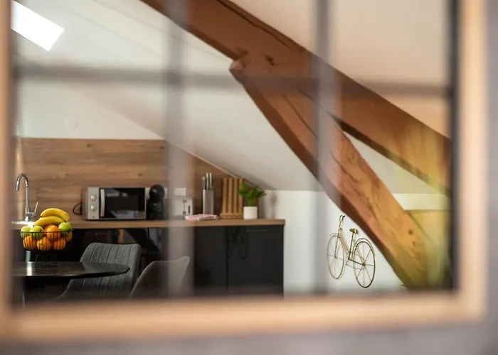 Appart-hôtel De Standing Avec Jacuzzi Privatisable En Option Appartement