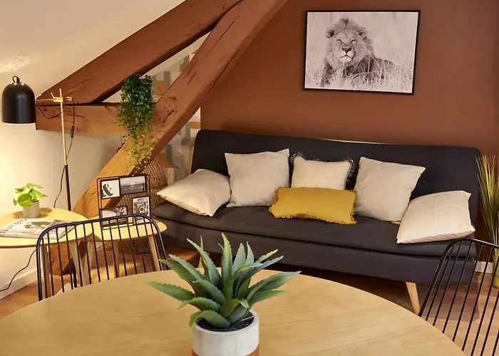 Appart-hôtel De Standing Avec Jacuzzi Privatisable En Option Appartement *